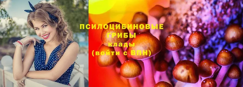 цены наркотик  Вельск  Галлюциногенные грибы Psilocybe 